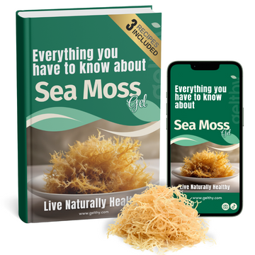 Sea Moss - Everything you have to Know about it (E-Book)